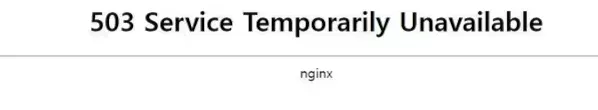 nginx 503 에러 기본 페이지