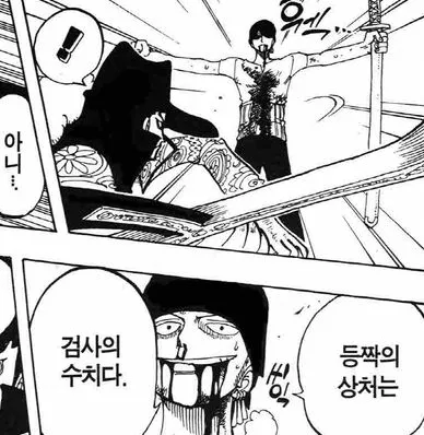 만화 원피스에서 롤로노아 조로가 등짝의 상처는 검사의 수치다 라고 말하는 장면