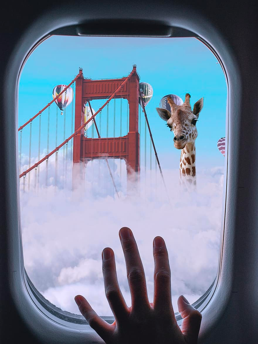 giraffe.png